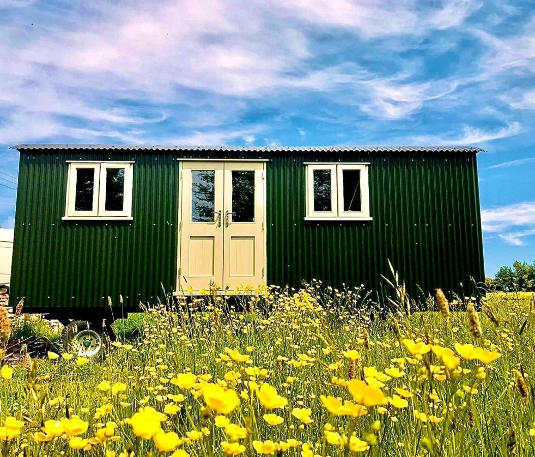 Apartment Bathsheba, Luxurious Shepherds Hut Set In A Hamlet Set In Thomas Hardy's Iconic Rural Dorset Todber